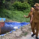 budidaya ikan Pulang Pisau