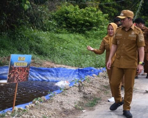 budidaya ikan Pulang Pisau