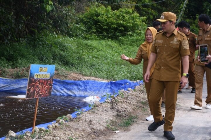 budidaya ikan Pulang Pisau