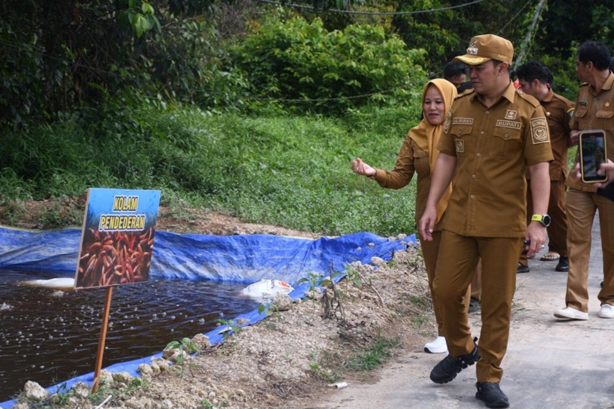 budidaya ikan Pulang Pisau