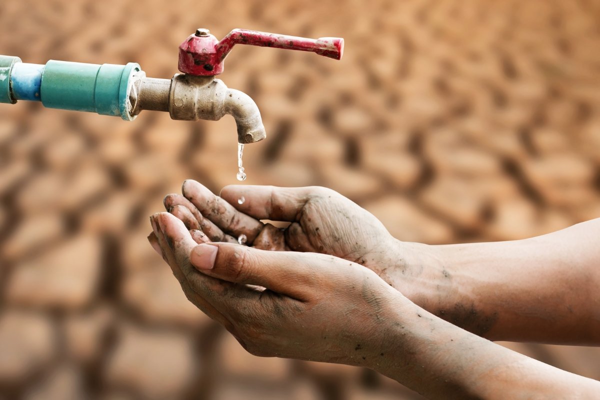 Godzilla El Nino, WALHI
