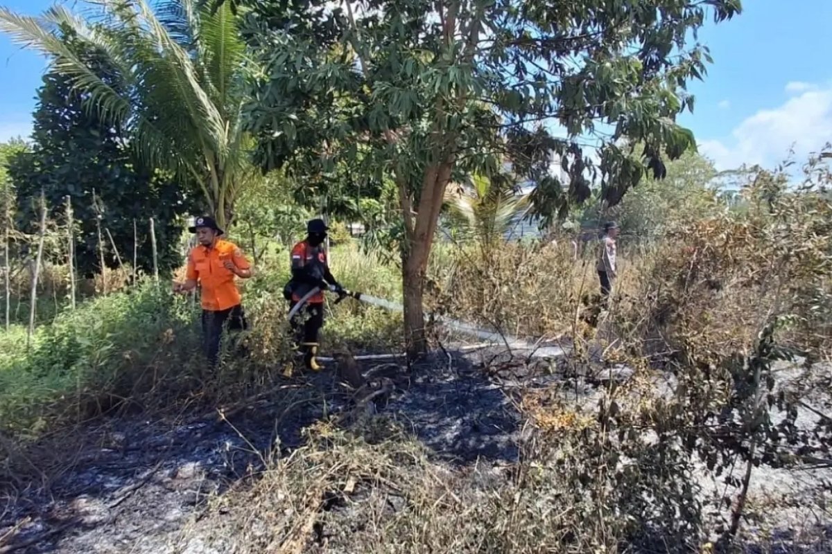 bpbd palangka raya padamkan karhutla |