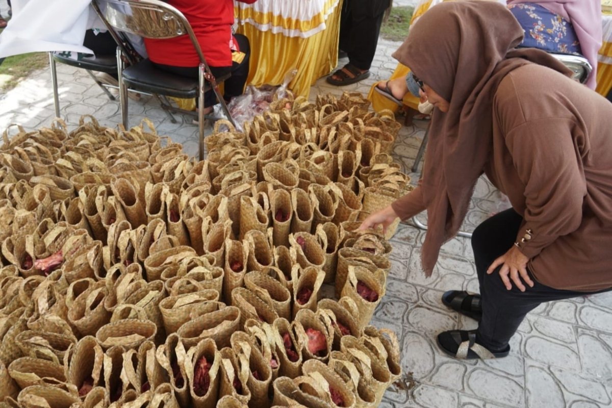 daging qurban pemko palangka raya |