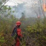 karhutla di kelurahan kameloh baru palangka raya |