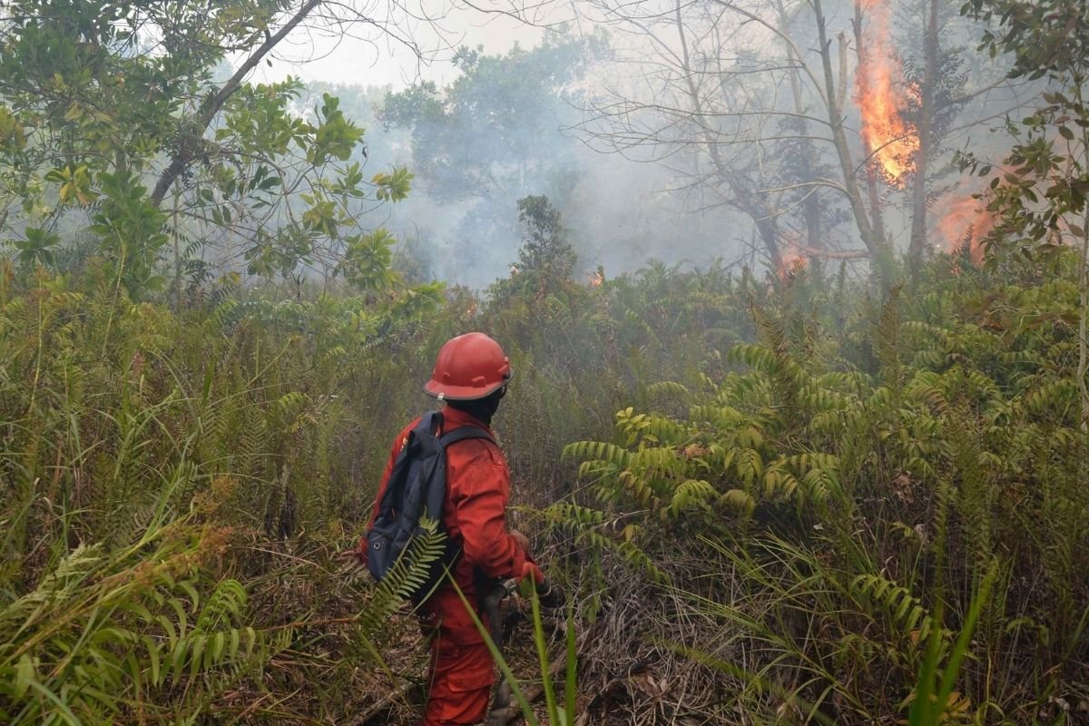 karhutla di kelurahan kameloh baru palangka raya |
