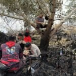 satgas aman nusa |