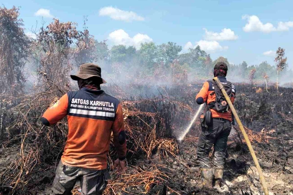 satgas karhutla kalteng |