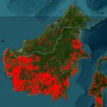 Karhutla Kalteng WALHI |