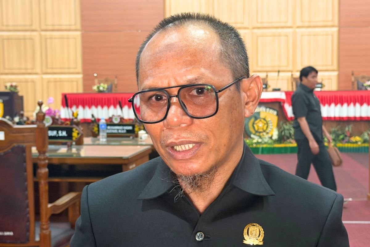 Wakil Ketua II Komisi I DPRD Kota Palangka Raya Syaufwan Hadi |