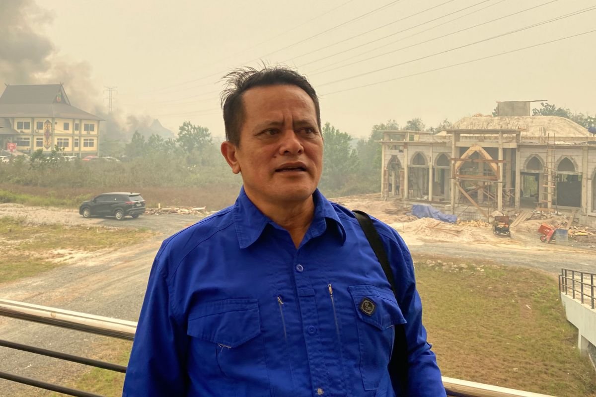 hatir sata tarigan tanggapi karhutla |