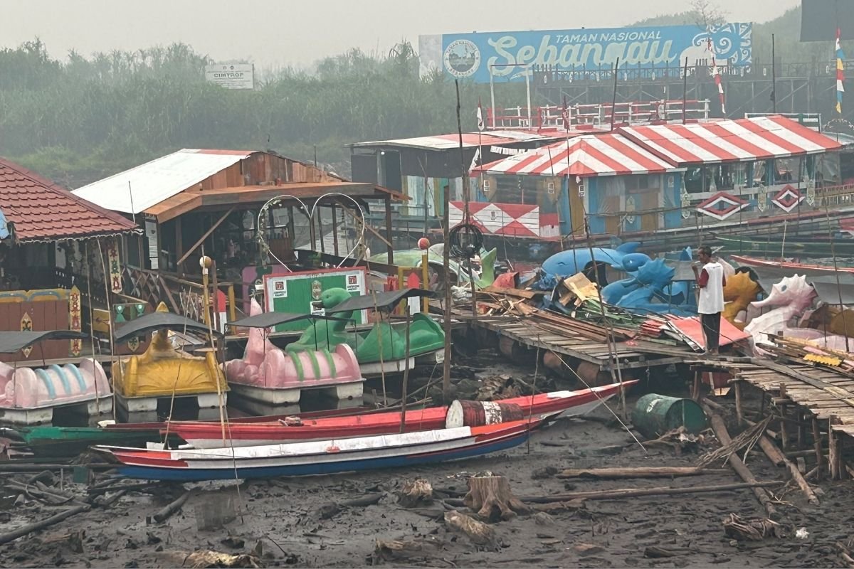 wisata kereng bangkirai palangka raya saat musim karhutla dan kabut asap |